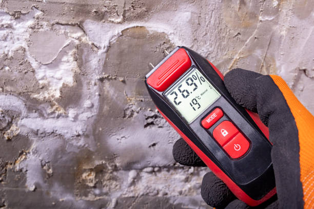 Best Mold Testing  in Clarkesville, GA